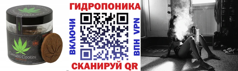дарнет шоп  Пикалёво  Canna-Cookies конопля 